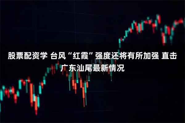 股票配资学 台风“红霞”强度还将有所加强 直击广东汕尾最新情况